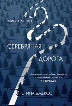 Стина Джексон Серебряная дорога [litres] обложка книги