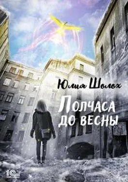 Юлия Шолох Полчаса до весны [publisher: 1С-Паблишинг] обложка книги