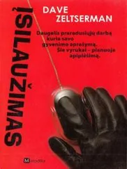 Дэйв Зельцерман - Įsilaužimas