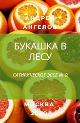 Андрей Ангелов - Букашка в лесу