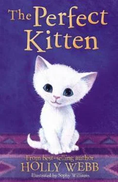 Холли Вебб The Perfect Kitten обложка книги