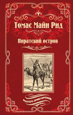 Томас Рид Пиратский остров; Молодые невольники обложка книги