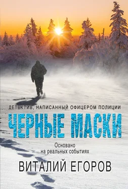 Виталий Егоров Черные маски [litres] обложка книги