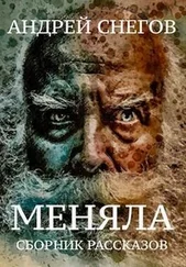 Андрей Снегов - Меняла [СИ]