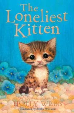 Холли Вебб The Loneliest Kitten обложка книги