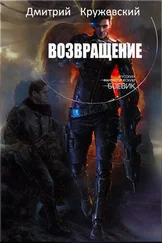 Дмитрий Кружевский - Возвращение