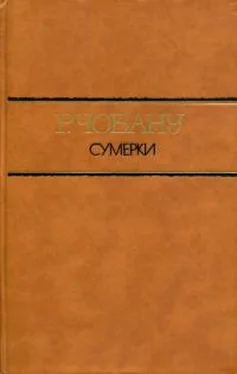 Раду Чобану Сумерки обложка книги