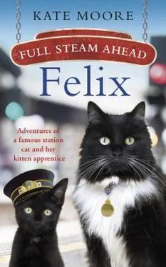 Кейт Мур Full Steam Ahead, Felix обложка книги