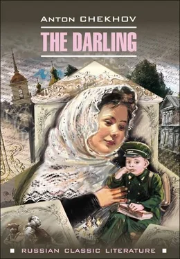 Антон Чехов The darling / Душечка. Сборник рассказов обложка книги