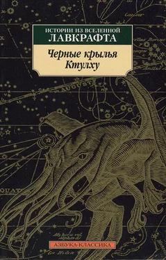 Дэвид Шоу Черные крылья Ктулху [Истории из вселенной Лавкрафта] обложка книги