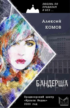 Алексей Комов Бандерша обложка книги