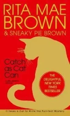 Рита Браун Catch As Cat Can обложка книги