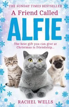 Рейчел Уэллс A Friend Called Alfie обложка книги