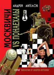 Андрей Ангелов - Москвичи VS Понаехалы