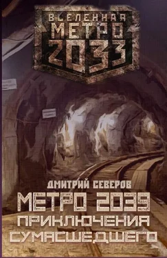 Дмитрий Северов Метро 2039. Приключения сумасшедшего обложка книги