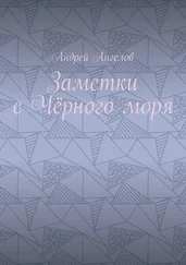 Андрей Ангелов - Заметки с Чёрного моря - 2019