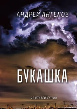 Андрей Ангелов Букашка. 25 статей гения обложка книги