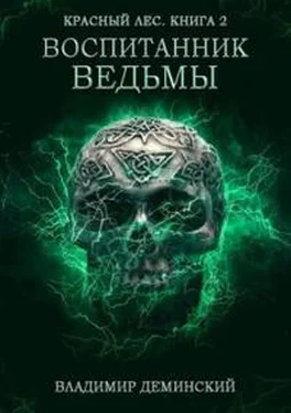 Владимир Дёминский Воспитанник ведьмы обложка книги