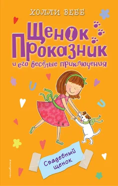 Холли Вебб Свадебный щенок обложка книги