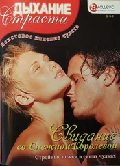 Сара Хайнер - Свидание со Снежной Королевой