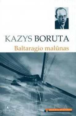 Malunas Baltaragio Boruta обложка книги