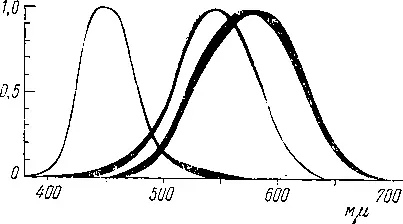 Рис3 Кривые чувствительности дневных колбочковых приемников человека - фото 4