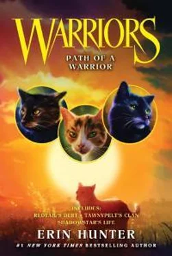 Эрин Хантер Path Of A Warrior обложка книги