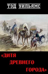 Тэд Уильямс - Дитя древнего города