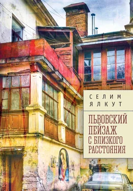 Селим Ялкут Львовский пейзаж с близкого расстояния обложка книги