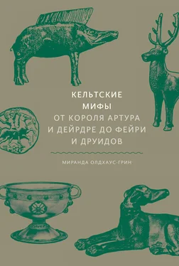 Миранда Олдхаус-Грин Кельтские мифы обложка книги