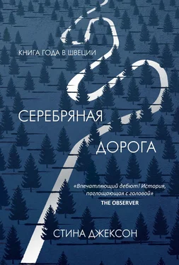 Стина Джексон Серебряная дорога обложка книги