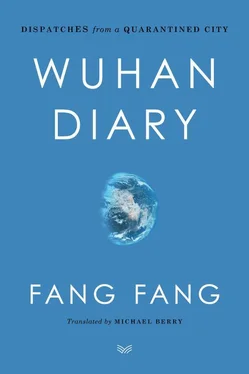 Fang Fang Wuhan Diary: Dispatches from a Quarantined City обложка книги