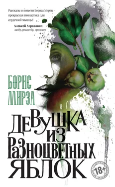 Борис Мирза Девушка из разноцветных яблок обложка книги