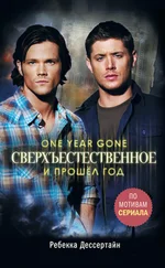 Ребекка Десcертайн - И прошёл год [litres]