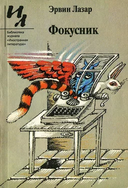 Эрвин Лазар Фокусник (сборник рассказов) обложка книги