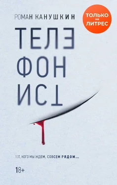 Роман Канушкин Телефонист [litres] обложка книги