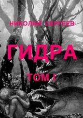 Николай Сергеев - Гидра. Том 1.Определение фашизма и его признаки.