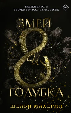 Шелби Махёрин Змей и голубка [litres] обложка книги