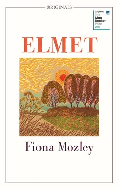 Fiona Mozley Elmet обложка книги