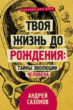 Андрей Сазонов Твоя жизнь до рождения: тайны эволюции человека обложка книги