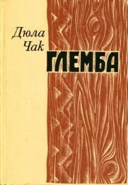 Дюла Чак Глемба обложка книги