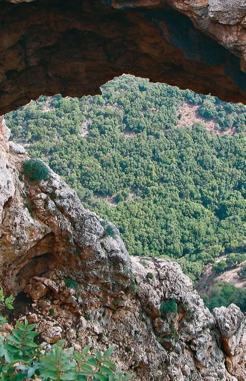Природа Израиля Мужской монастырь ВадиКельт близ Мертвого моря Набережная - фото 102