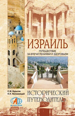 Николай Непомнящий Израиль. Путешествие за впечатлением и здоровьем обложка книги