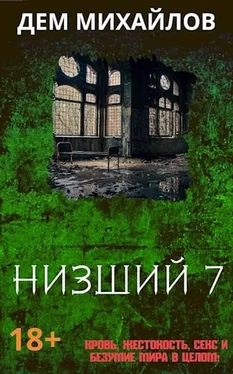 Дем Михайлов Низший 7 обложка книги