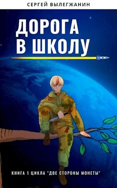 Сергей Вылегжанин Дорога в школу обложка книги