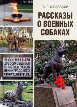 Владимир Швабский Рассказы о военных собаках обложка книги