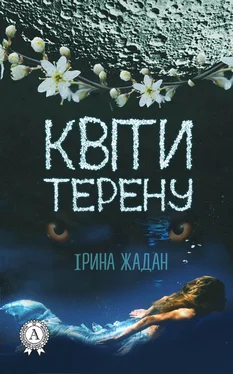 Ирина Жадан Квіти терену обложка книги