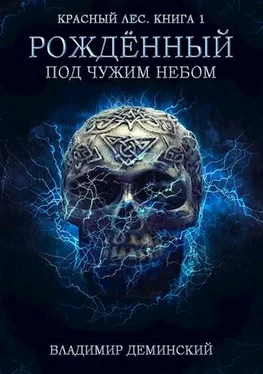 Владимир Дёминский Рождённый под чужим небом обложка книги