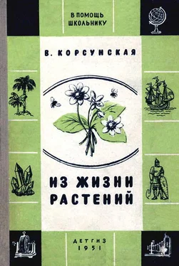 Вера Корсунская Из жизни растений обложка книги