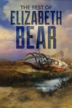 Элизабет Бир The Best of Elizabeth Bear обложка книги